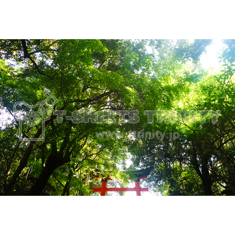 shrine06 ～鳥居～