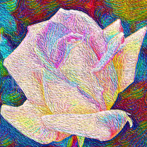 rose10_art7