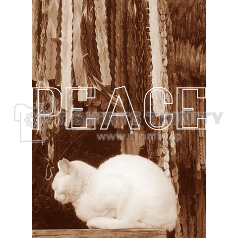 peace cat