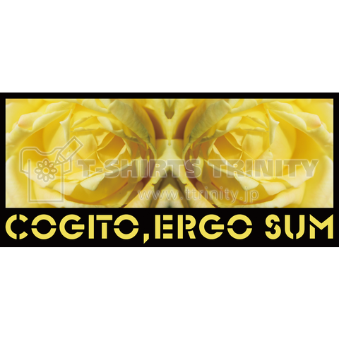 rose_SP 『COGITO,ERGO SUM』