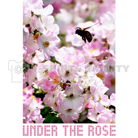 Under the Rose #003