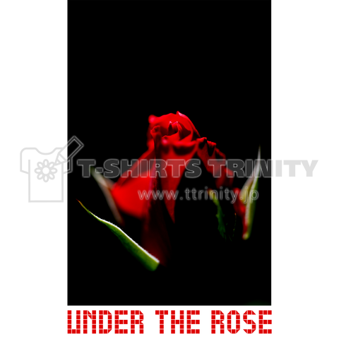 Under the Rose #004