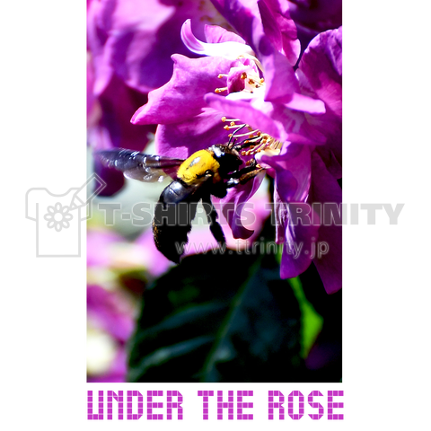 Under the Rose #006