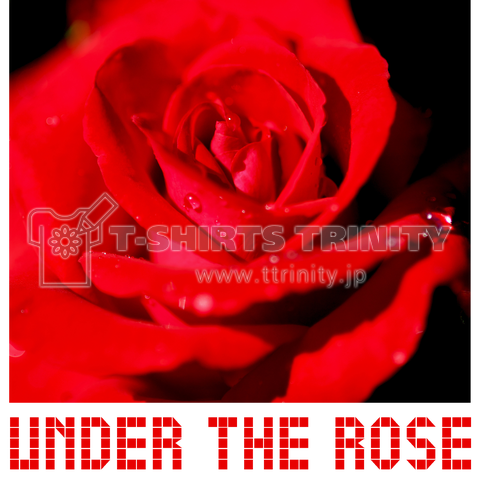 Under the Rose #007