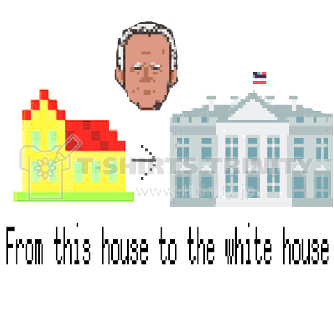 Pixel BIDEN