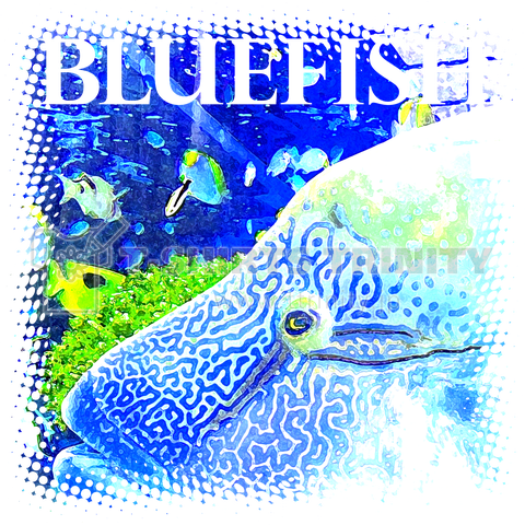 BLUEFISH1