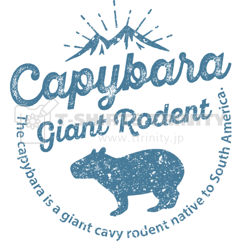 capybara summer