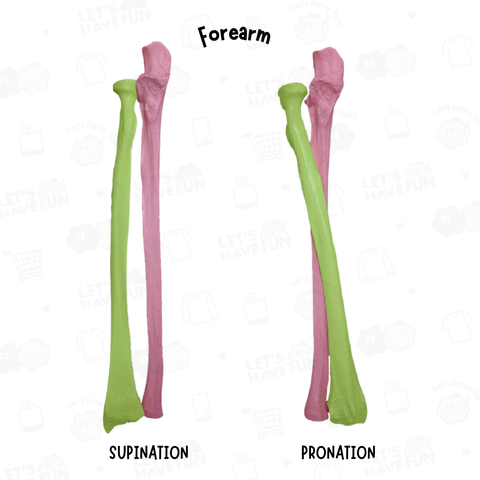 Forearm pronation and supination