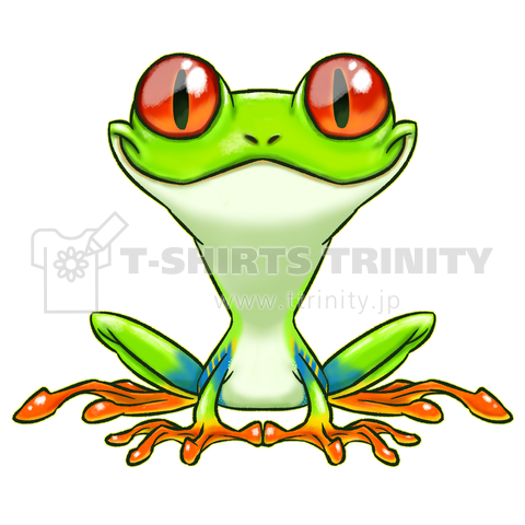 アカメアマガエル(Red-eyed tree frog)
