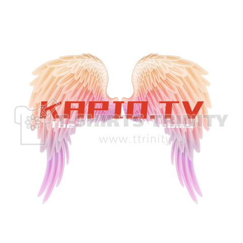 Kapio Tv 天使の羽 デザインtシャツ通販 Tシャツトリニティ