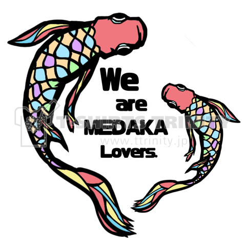 We are MEDAKA lovers.