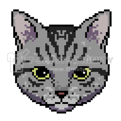 8bitCat