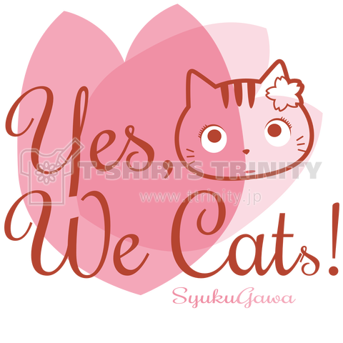 Yes we cat  夙川育ち