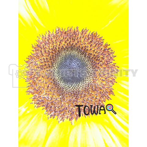 SUN FLOWER x TOWA