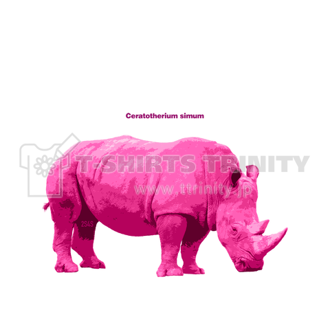 Pink zoo Rhino