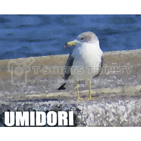 UMIDORI(海鳥)