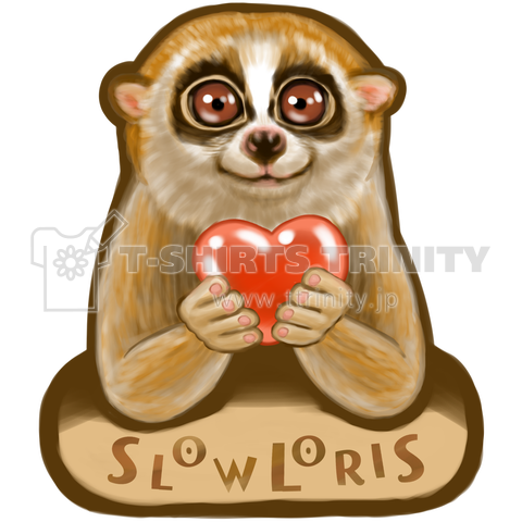 スローロリス SLOW LORIS