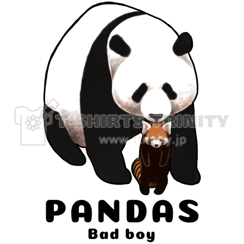 PANDAS【B】