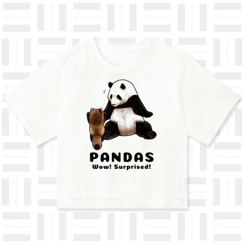 PANDAS【C】