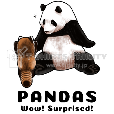 PANDAS【C】