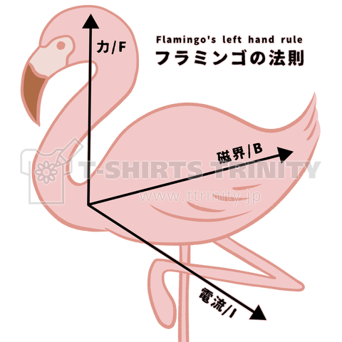 フラミンゴの法則(左手)