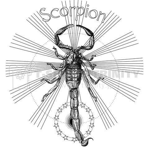 scorpion backprint