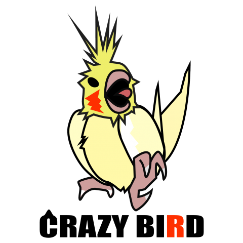 CRAZY BIRD_RUTINO