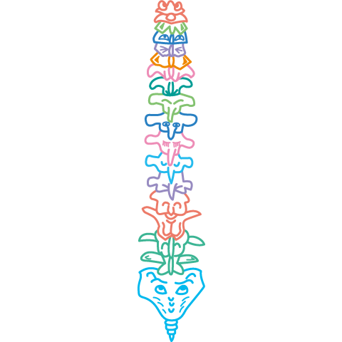 カラフルな背骨君たち