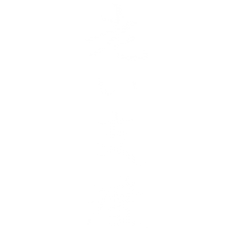 老い支度 (白)【LF】