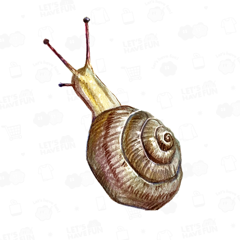 カタツムリ