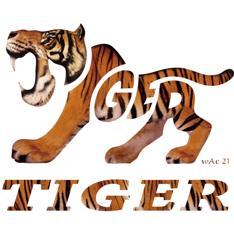 TIGER(real)