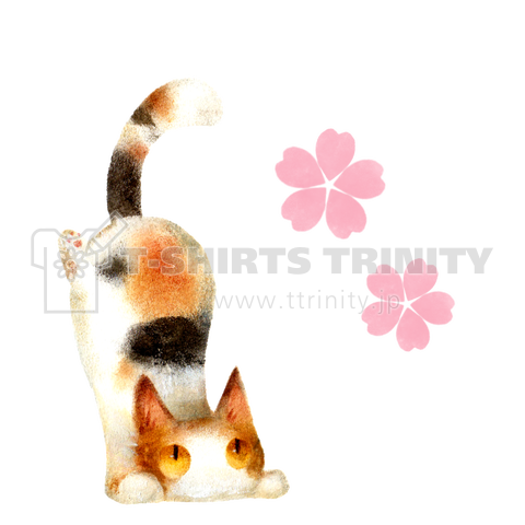 三毛猫と桜