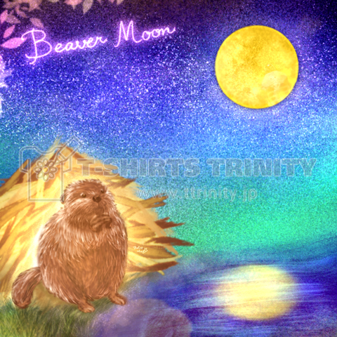 11月《Moonシリーズ》*Beaver Moon*