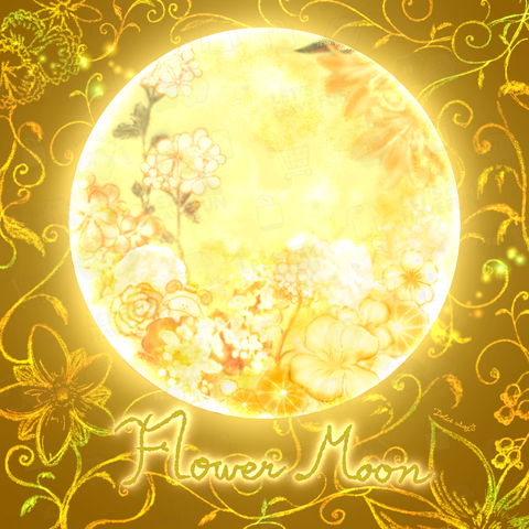 5月《Moonシリーズ》*Flower Moon*