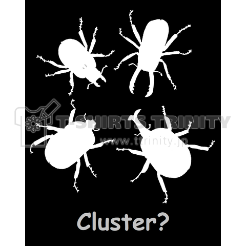Cluster?