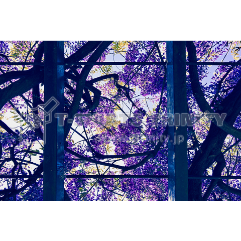 Wisteria rack