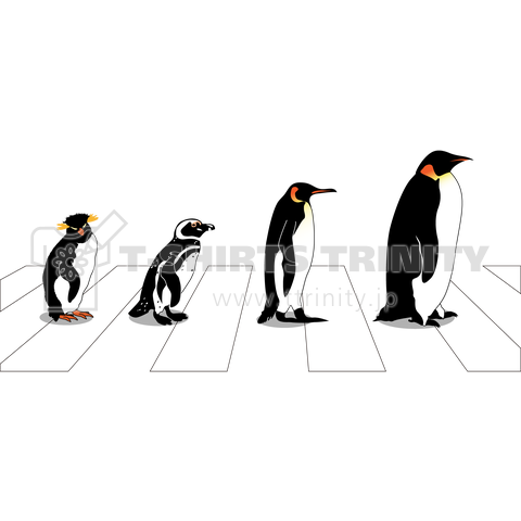 Penguin Road