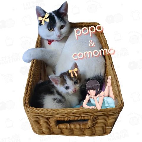 POPO&COMOMO