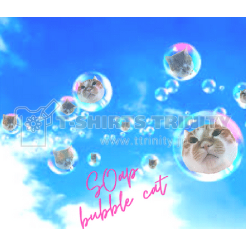 シャボン玉猫 soap bubble cat
