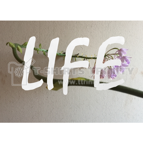 LIFE No.4 花←光
