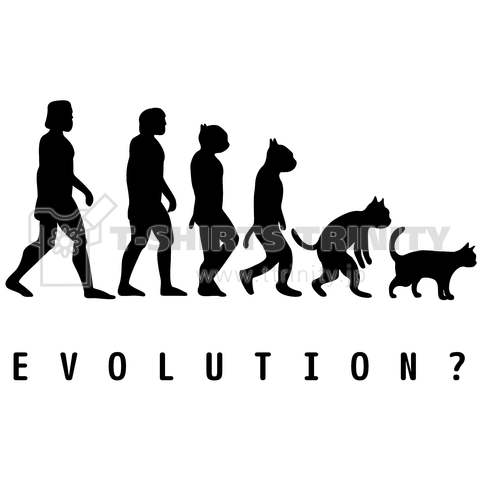 EVOLUTION?(猫)