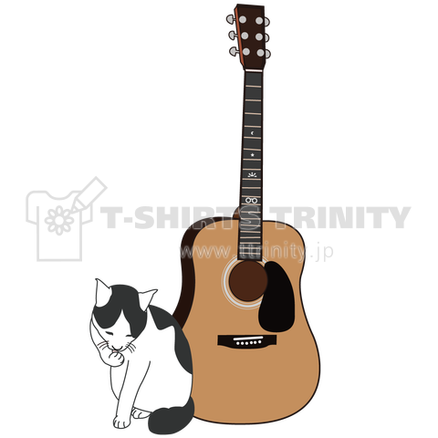Acoustic Guitar & Bicolor Cat