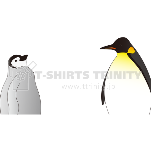 エンペラーペンギン親子 デザインtシャツ通販 Tシャツトリニティ