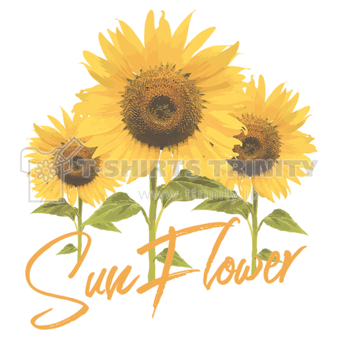 SunFlower(両面)