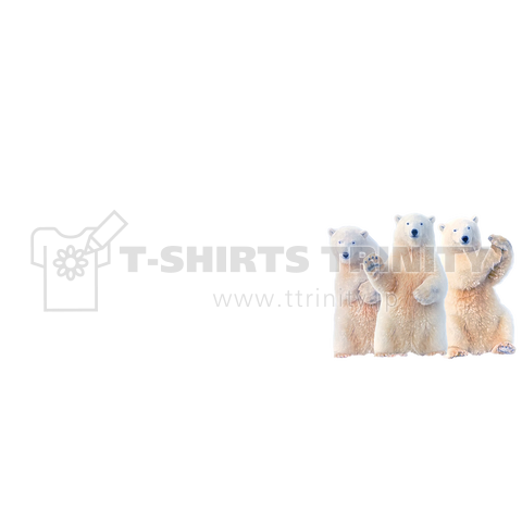 THE NORTH STARS