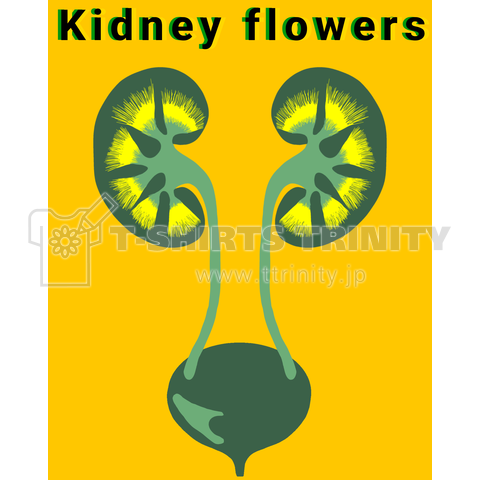 Kidney flowers