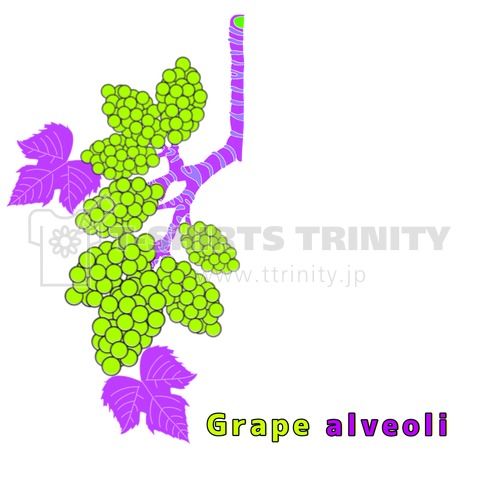 葡萄な肺胞(白色バージョン)