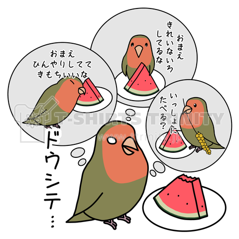 コザクラインコとスイカ