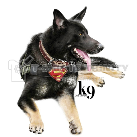 k9 Canine