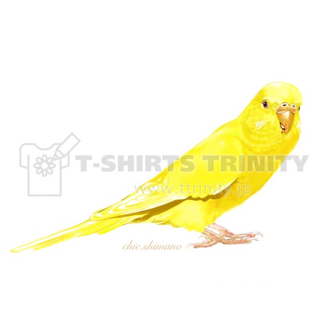 セキセイインコ ルチノー デザインtシャツ通販 Tシャツトリニティ